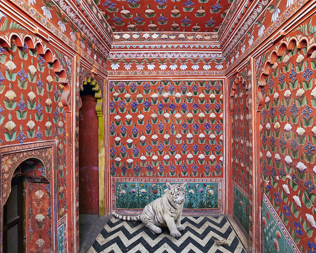 Karen KNORR, The Locust Eater, Udaipur City Palace, from 'India Song' series
2020, Pigment print on Hannemuhle Fine Art paper