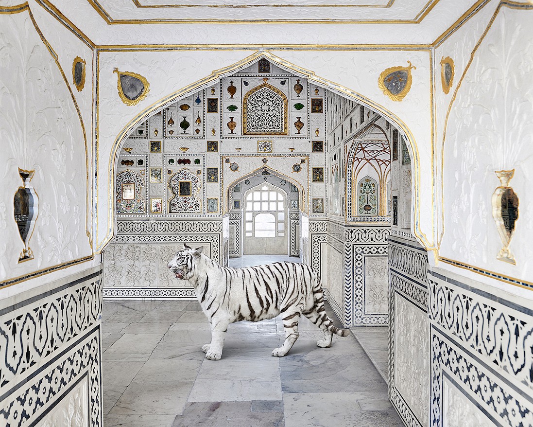 Karen KNORR, Tiger Breath, Sheesh Mahal, Amer Fort, from 'India Song' series
2020, Pigment print on Hannemuhle Fine Art paper