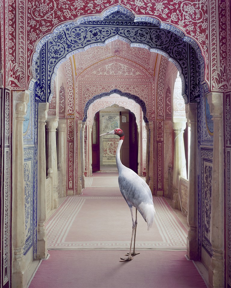 Karen KNORR, A Faithful Companion, Samode Palace, from 'India Song' series
2020, Pigment print on Hannemuhle Fine Art paper