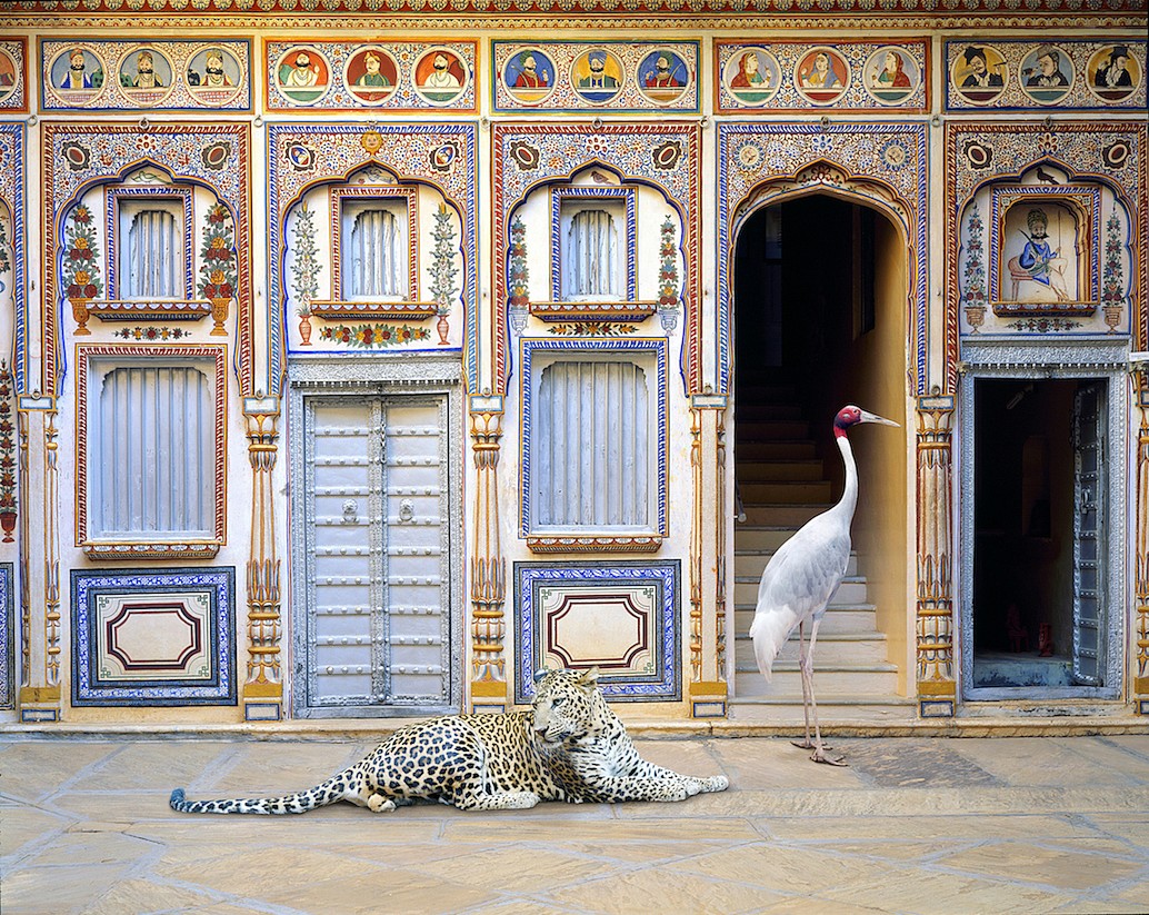 Karen KNORR, Reconciliation, Poddar Haveli, Nawalgarh, from 'India Song' series
2020, Pigment print on Hannemuhle Fine Art paper