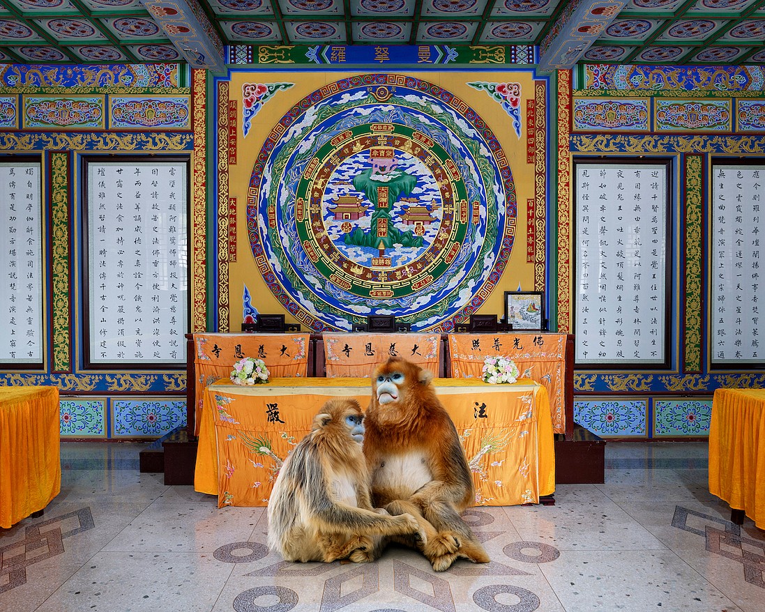 Karen KNORR, Becoming Xian, Manna Hall, Dacien Temple, Xi'an
2019, Pigment print on Hannemuhle Fine Art paper