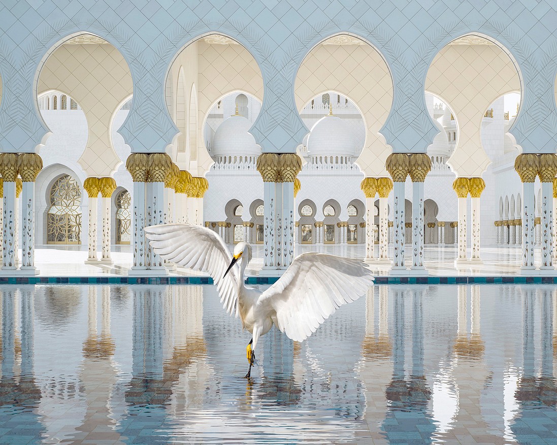 Karen KNORR, The Way of Ishq, Grand Mosque, Abu Dhabi
2019, Pigment print on Hannemuhle Fine Art paper