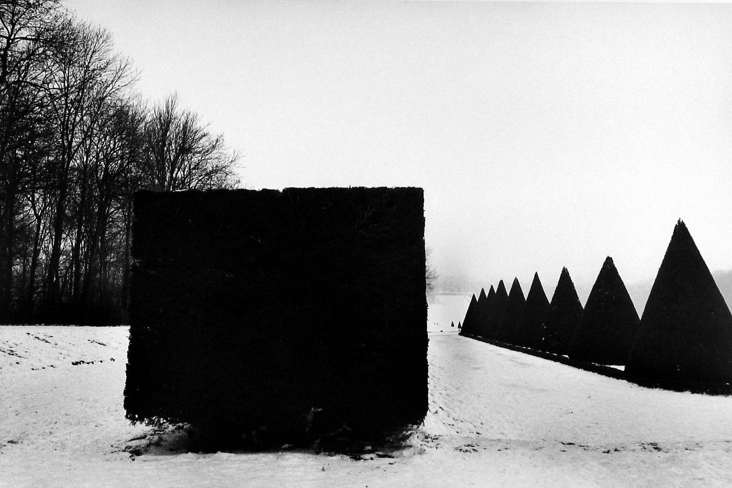 Martine FRANCK, The Park at Sceaux, Hauts-de-Seine, France
1987, Silver gelatin print