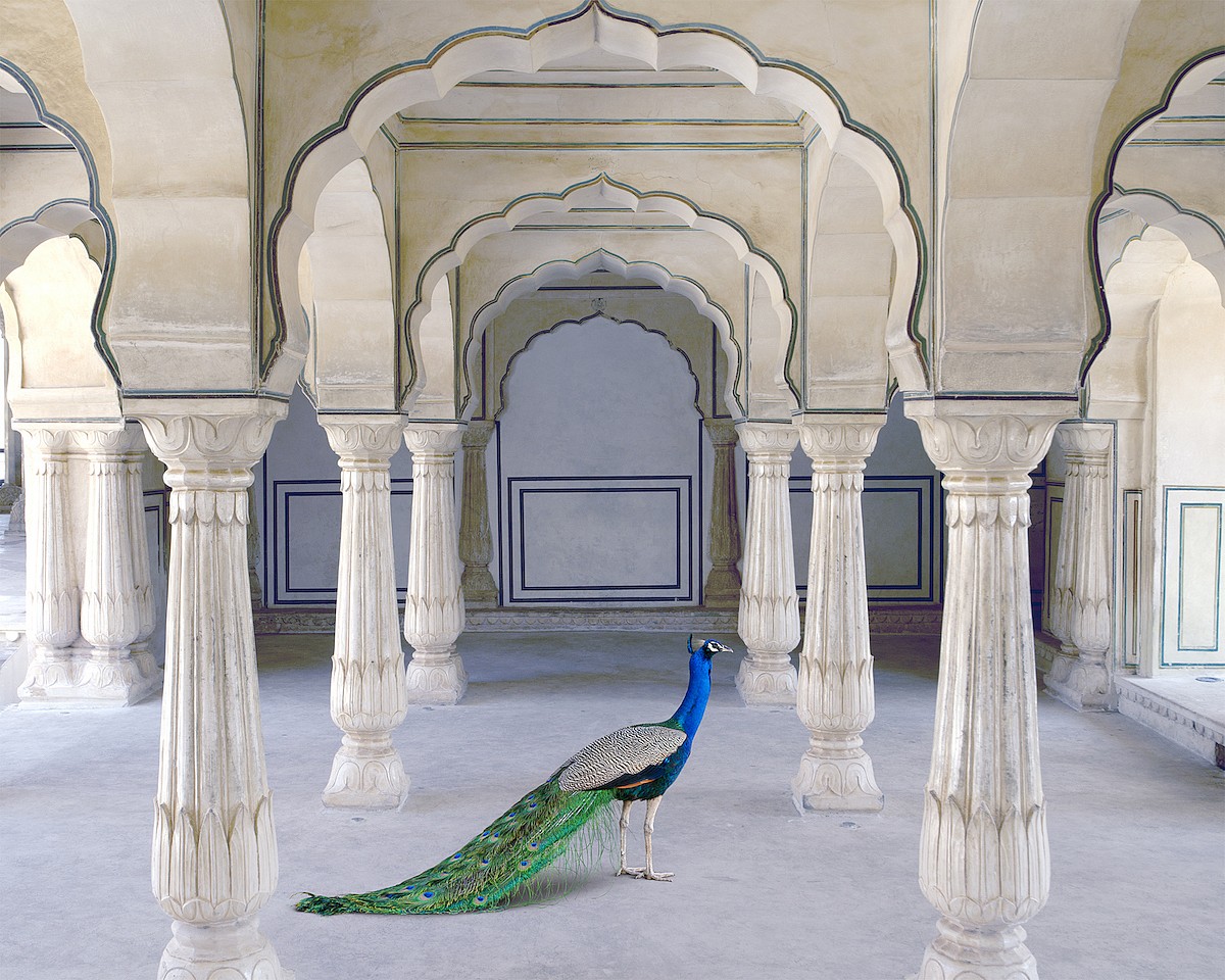 Karen KNORR, A Moment of Solitude, Amer Fort, Amer
2021, Pigment print on Hannemuhle Fine Art paper