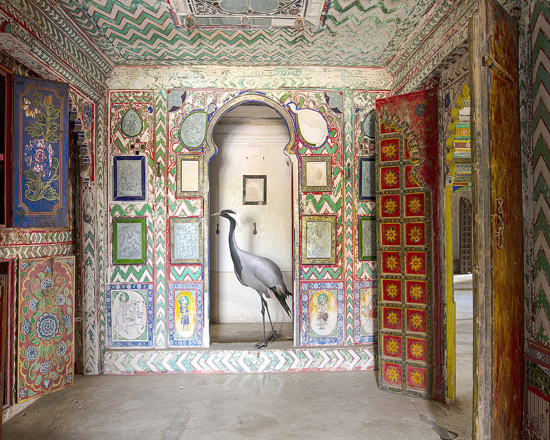 Karen KNORR, Rest on the Way to Khichen, Juna Mahal, Dungarpur
2021, Pigment print on Hannemuhle Fine Art paper