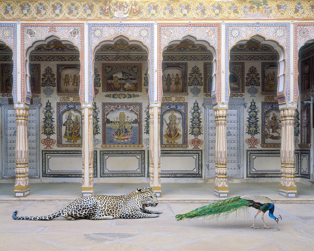 Karen KNORR, The Waiting Game, Poddar Haveli, Nawalgarh
2021, Pigment print on Hannemuhle Fine Art paper