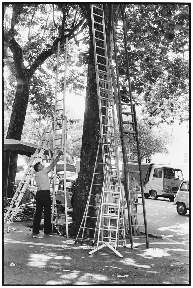 Elliott ERWITT, Boulevard des Lices, Arles, France
1977