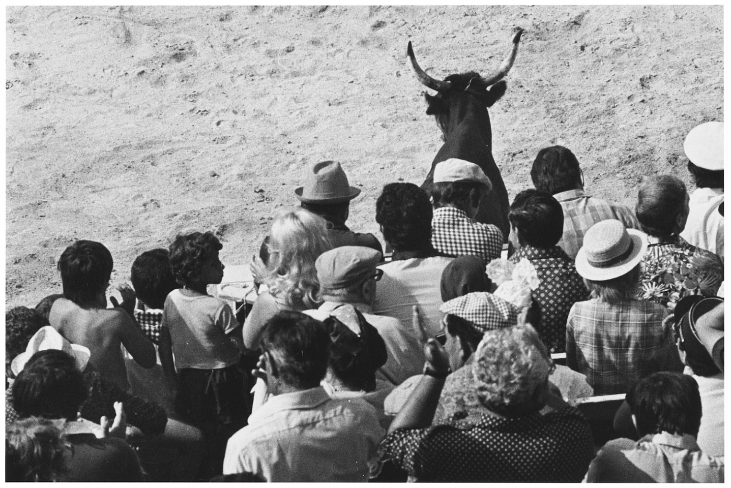 Elliott ERWITT, Saintes Maries de la Mer, France
1977