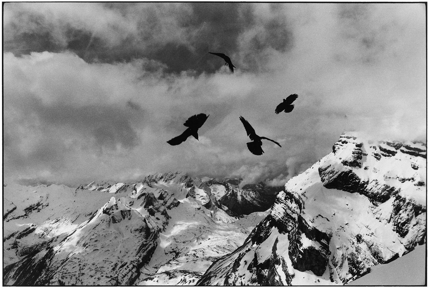 Elliott ERWITT, Switzerland
1996