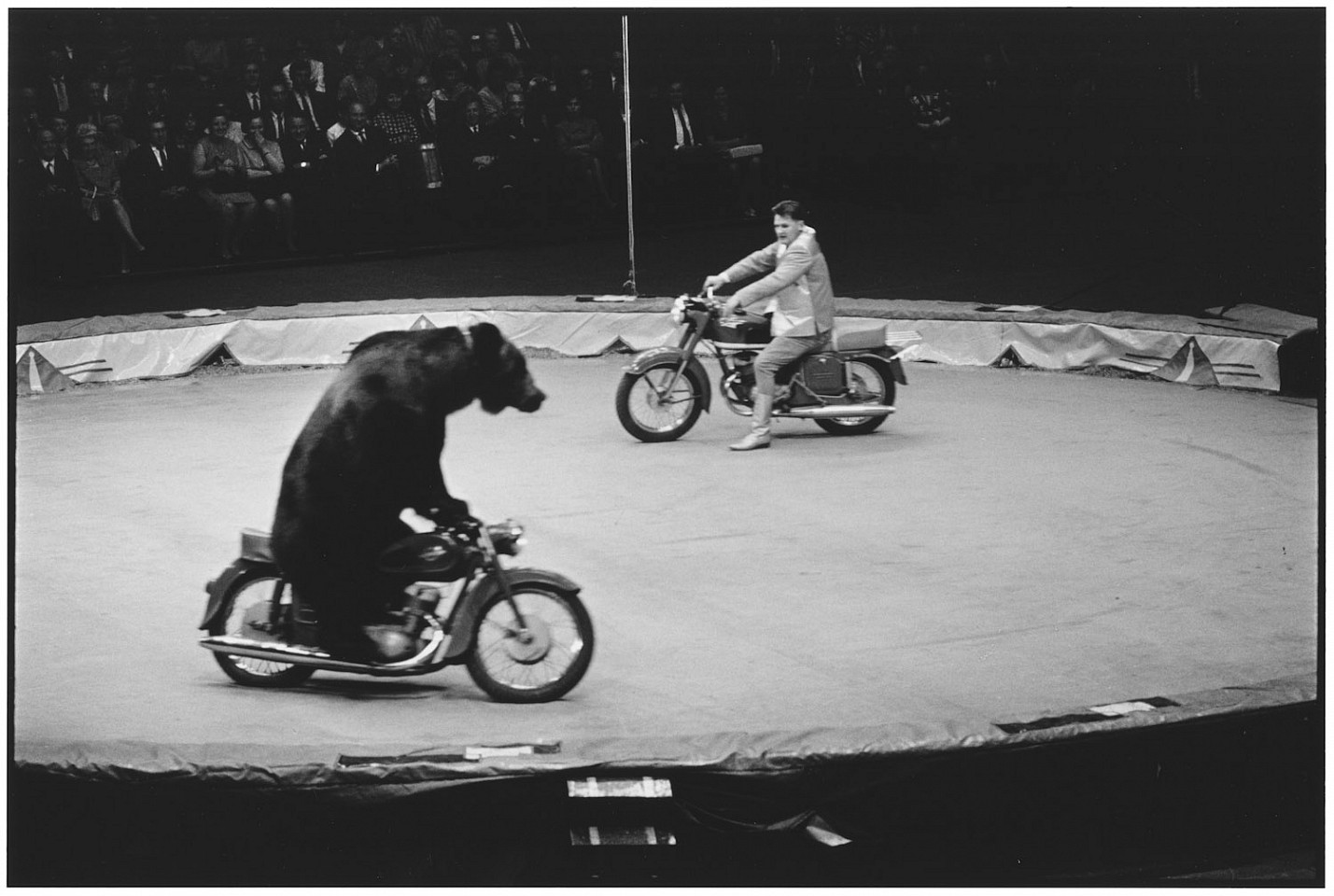 Elliott ERWITT, Florida, USA
1968