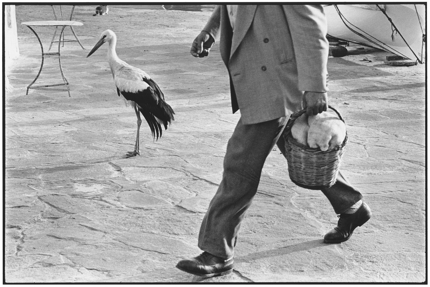 Elliott ERWITT, Mykonos, Greece
1963