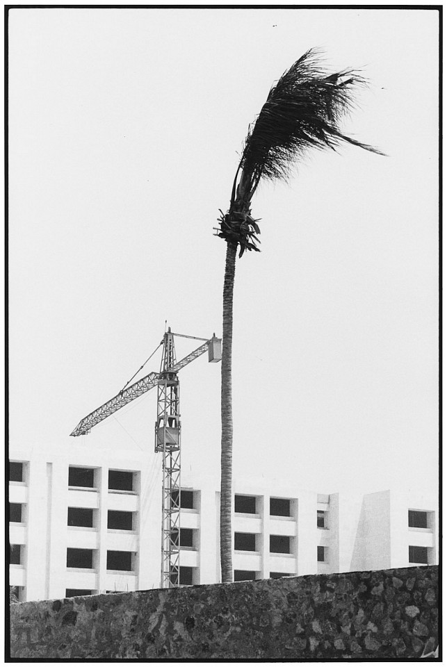 Elliott ERWITT, Acapulco, Mexico
1991