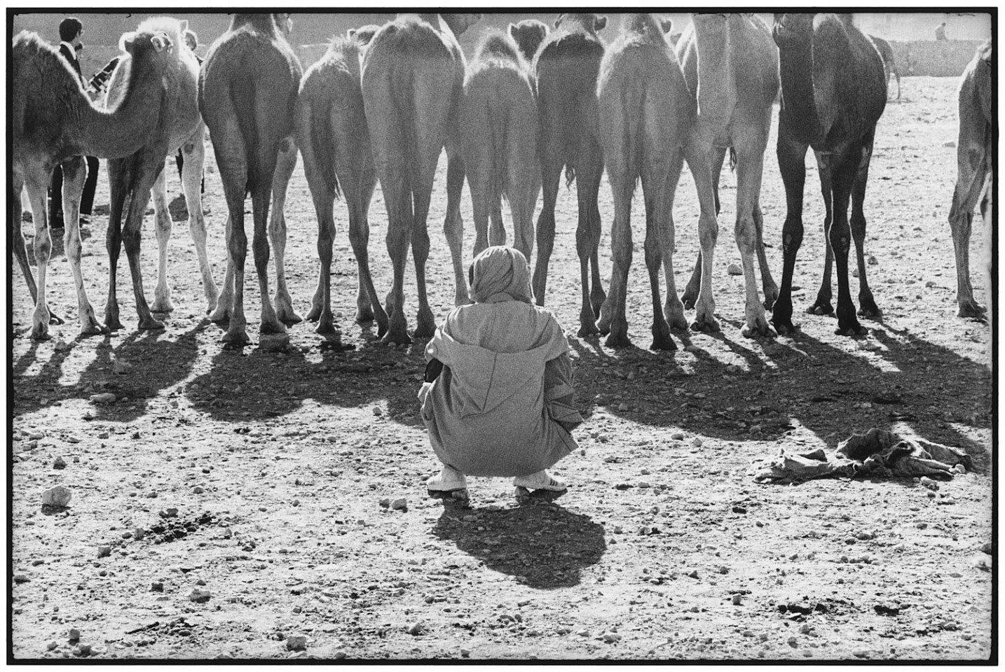 Elliott ERWITT, Agadir, Morocco
1973