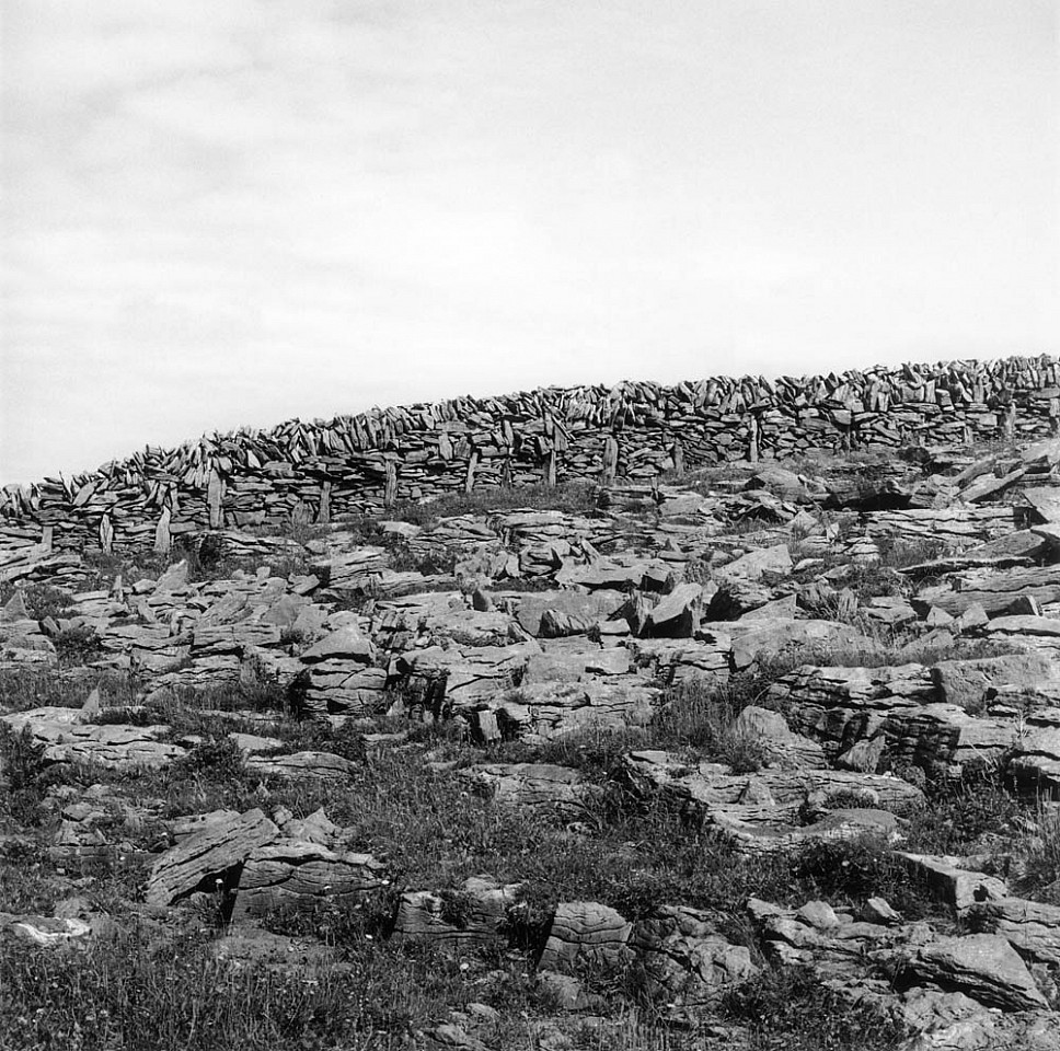 Mariana COOK, Black Crag Field, Inis Meáin, Ireland
2005, Gelatin silver print, selenium toned