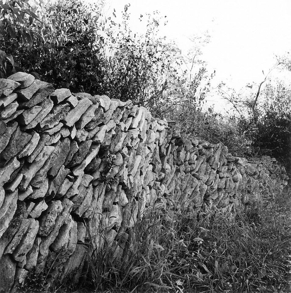 Mariana COOK, Edge Wall, Rosehill, Mercer County, Kentucky
2009, Gelatin silver print, selenium toned