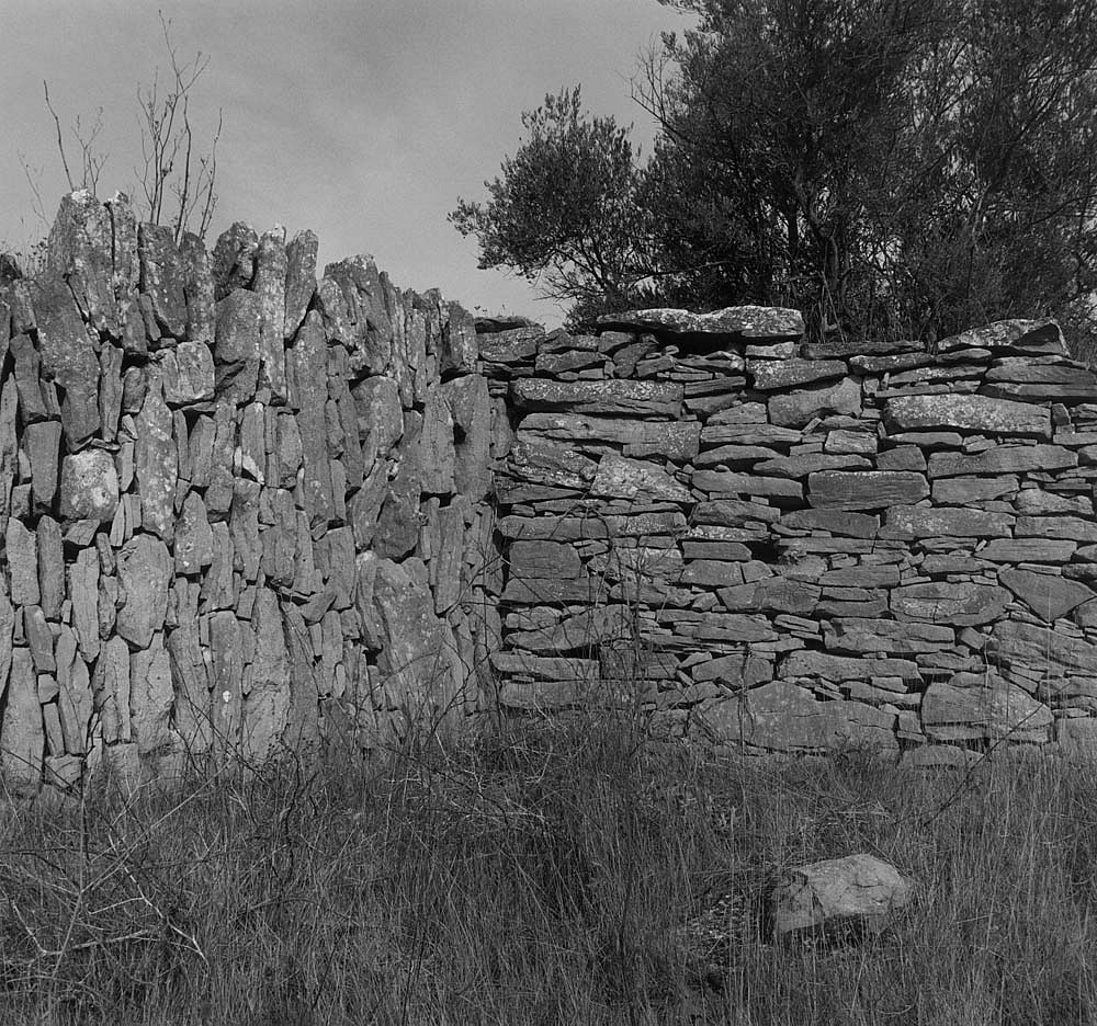 Mariana COOK, Field Corner, La Livignière, France
2004, Gelatin silver print, selenium toned