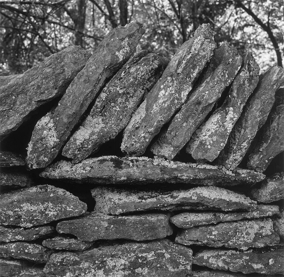 Mariana COOK, Field Stone Wall with Lichen, Mercer County, Kentucky
2009, Gelatin silver print, selenium toned