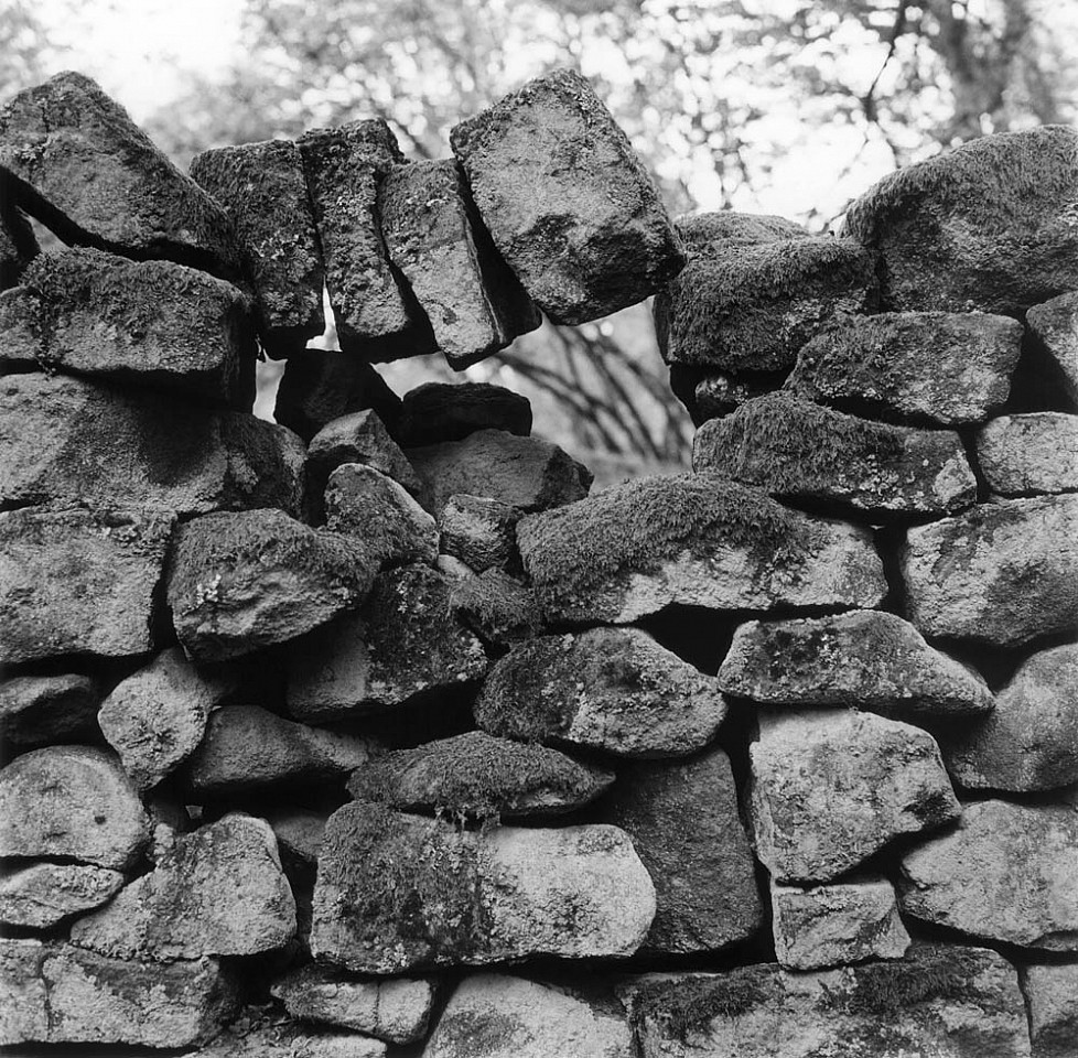 Mariana COOK, Hugging Vertical Stones, Froggatt, Derbyshire, England
2004, Gelatin silver print, selenium toned