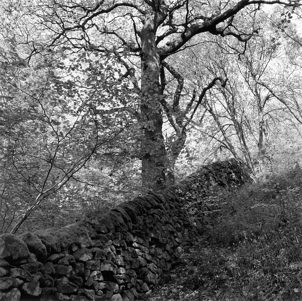 Mariana COOK, Modern Wall in Spring, Froggatt, Derbyshire, England
2004, Gelatin silver print, selenium toned