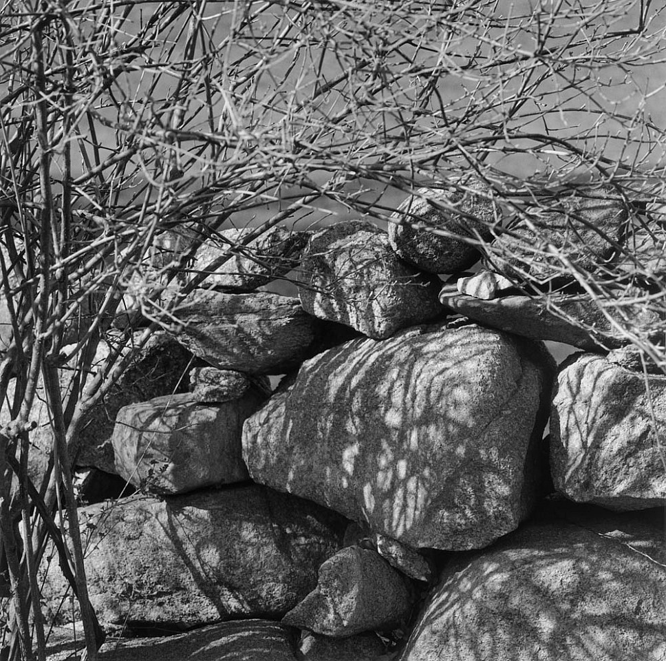 Mariana COOK, Shadowed Rocks and Brush, Chilmark, Massachusetts
2003, Gelatin silver print, selenium toned