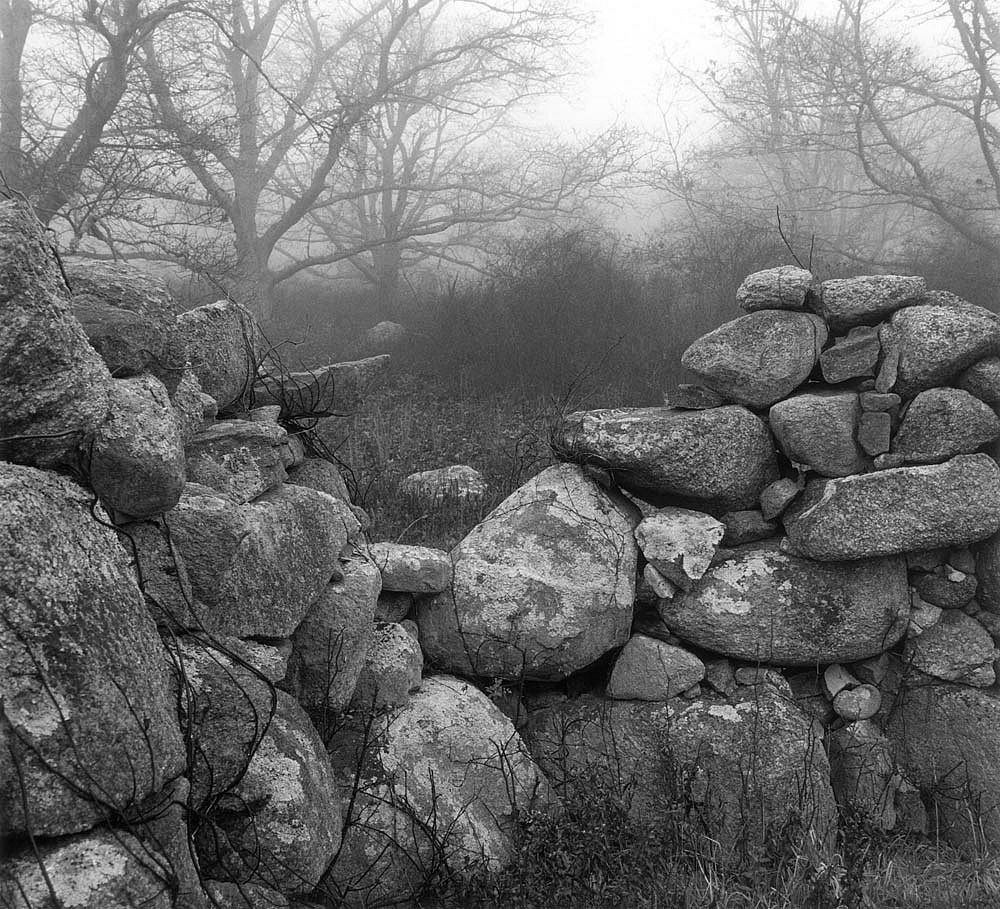 Mariana COOK, Sheep Shearing Shed in Mist, Chilmark, Massachusetts
2003, Gelatin silver print, selenium toned