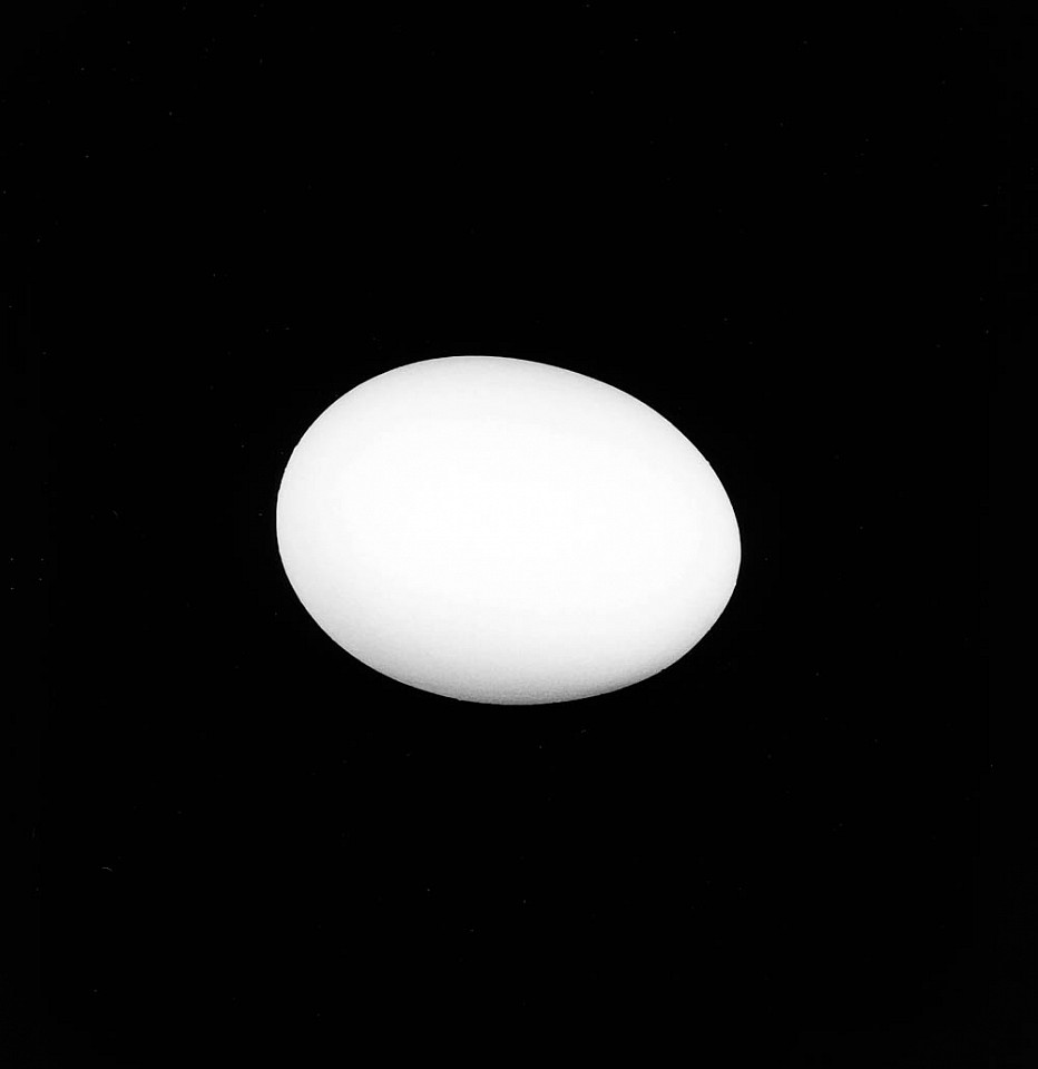 Mariana COOK, Egg, New York City
1999, Gelatin silver print, selenium toned