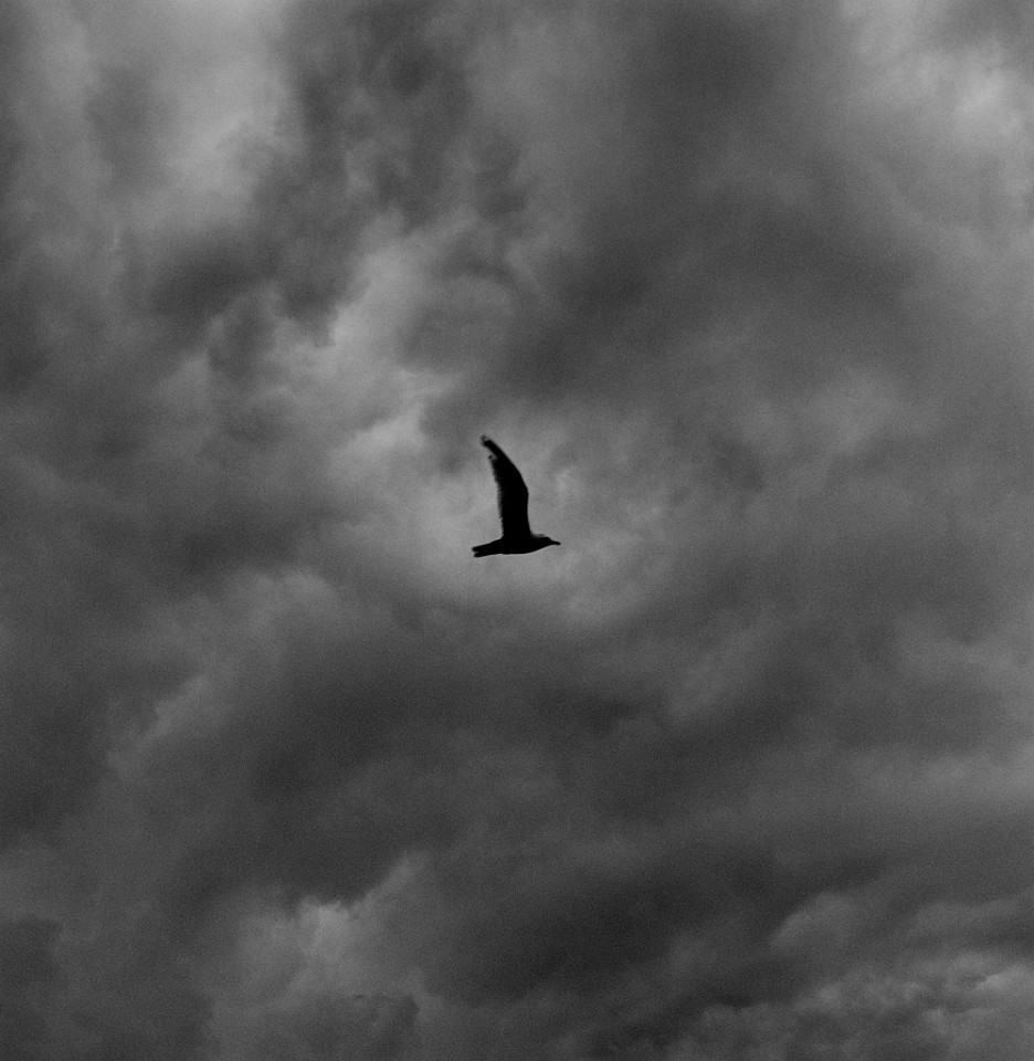 Mariana COOK, Flying Bird, West Tisbury, Massachusetts
1999