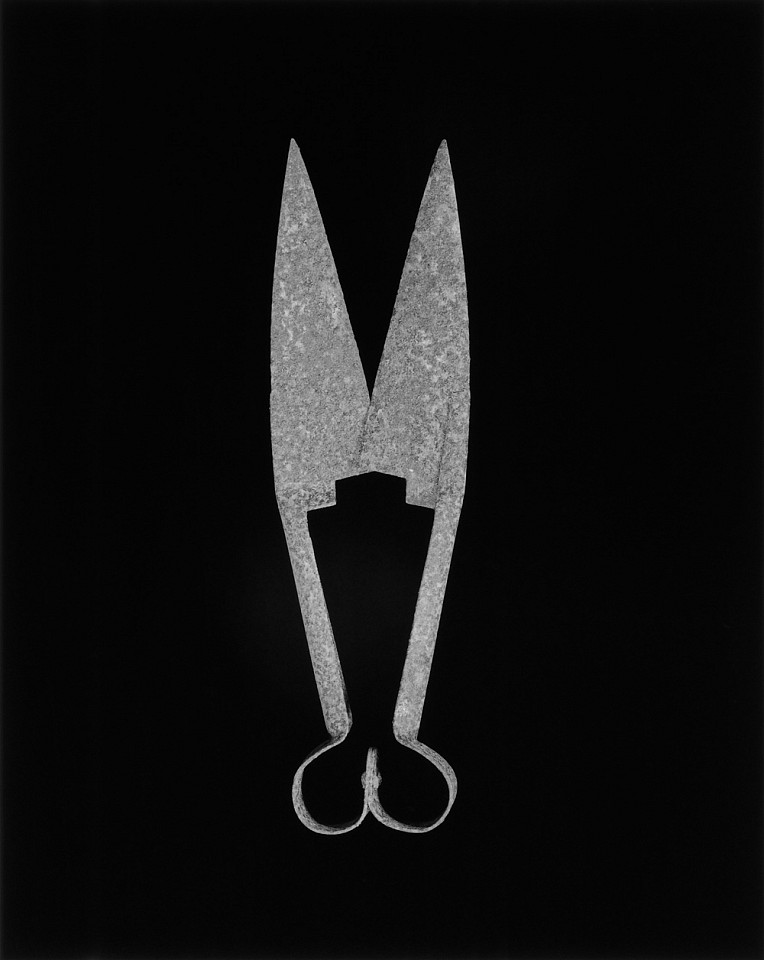 Mariana COOK, County Clare, Ireland, Hand Shears for Sheep
2019, Gelatin silver print, selenium toned