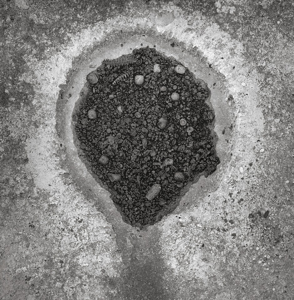 Mariana COOK, Kamenitza 7, Eagle's Rock, The Burren, Ireland
2016, Gelatin silver print, selenium toned