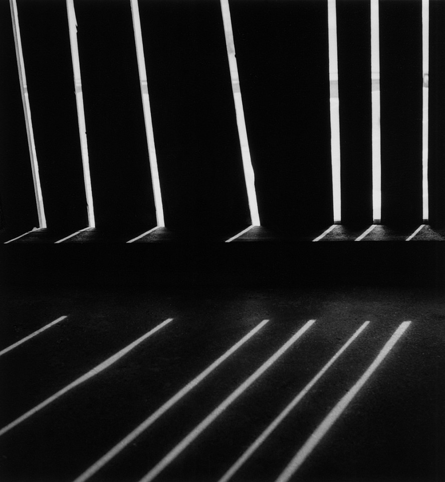 Mariana COOK, Light Slats, S-chanf, Switzerland
2021