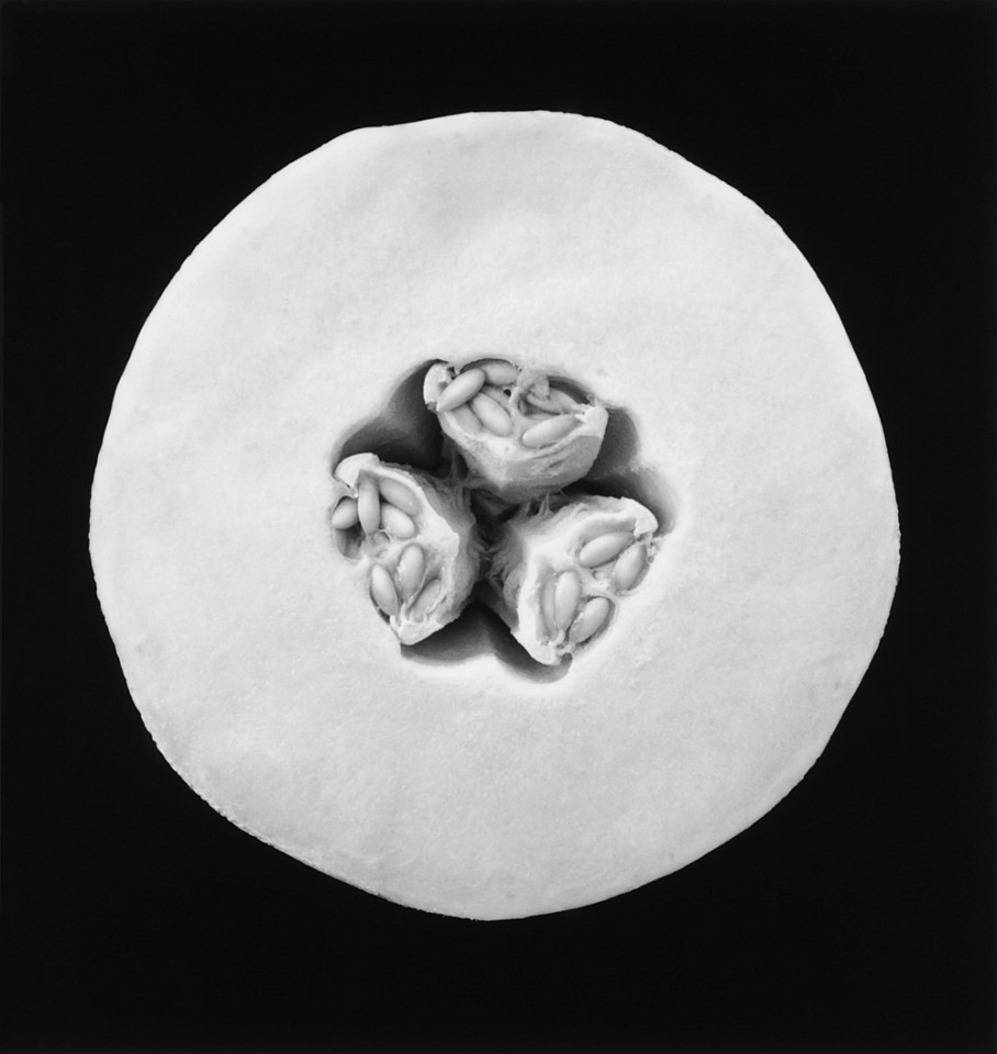 Mariana COOK, Melon, New York City
2000, Gelatin silver print, selenium toned