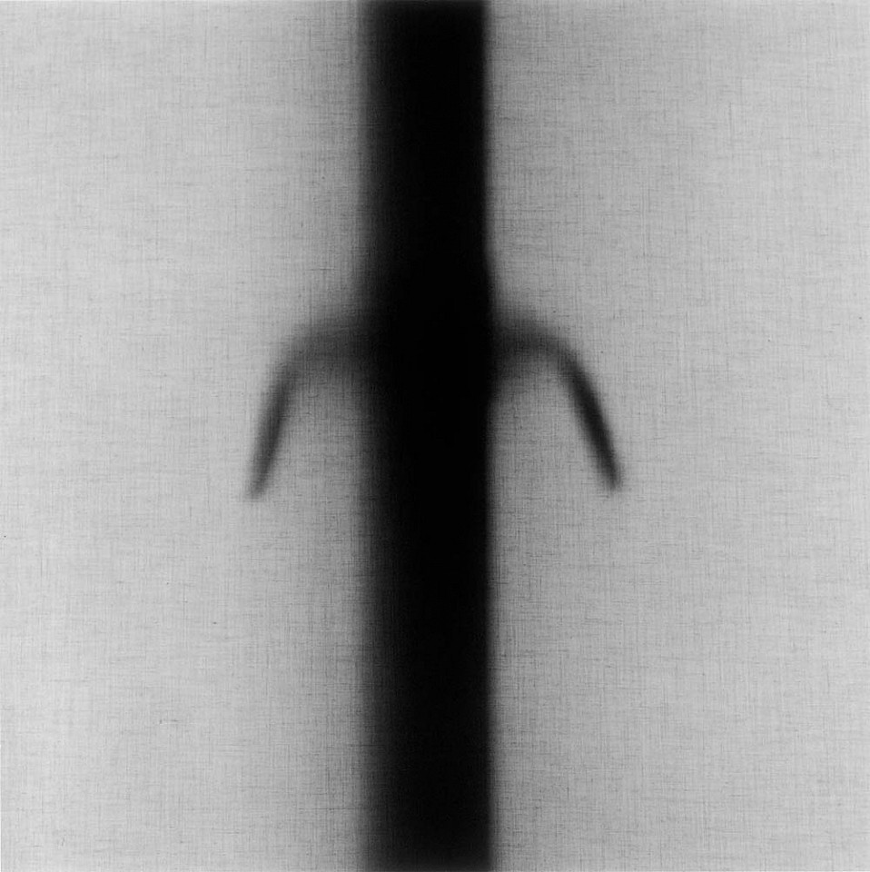 Mariana COOK, Shaded Window Handles, New York City
1999, Gelatin silver print, selenium toned