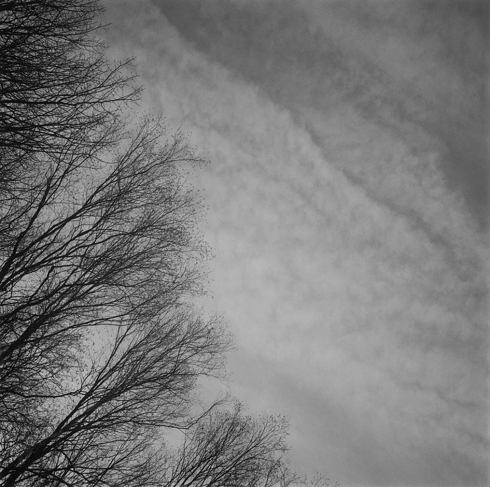 Mariana COOK, Tree Branches and Clouds, Chilmark, Massachusetts
2016, Gelatin silver print, selenium toned