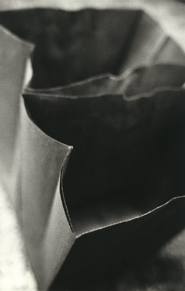 Ernest Stone, Untitled from the series 'Bags'
Gelitan silver print